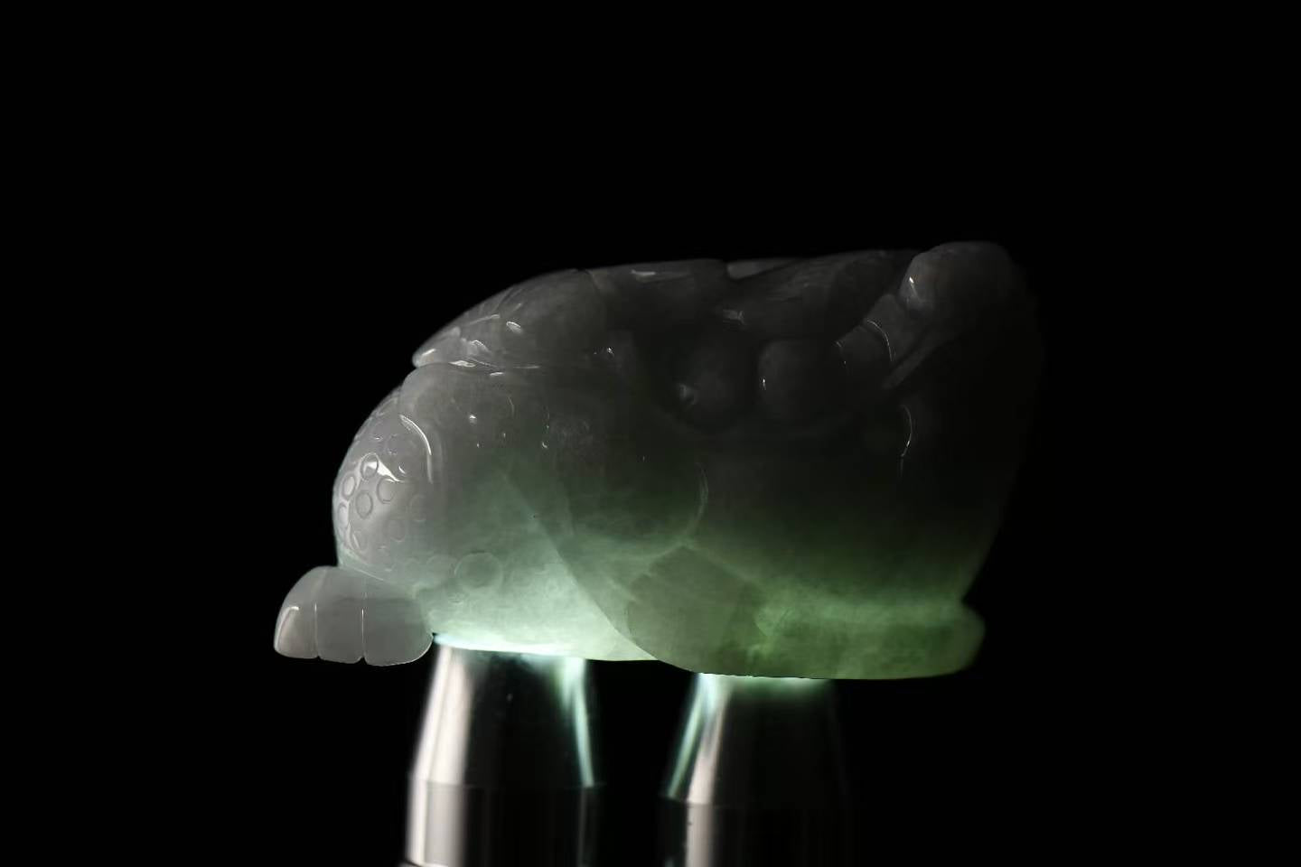 金蟾聚财 天然 A 货翡翠金蟾摆件