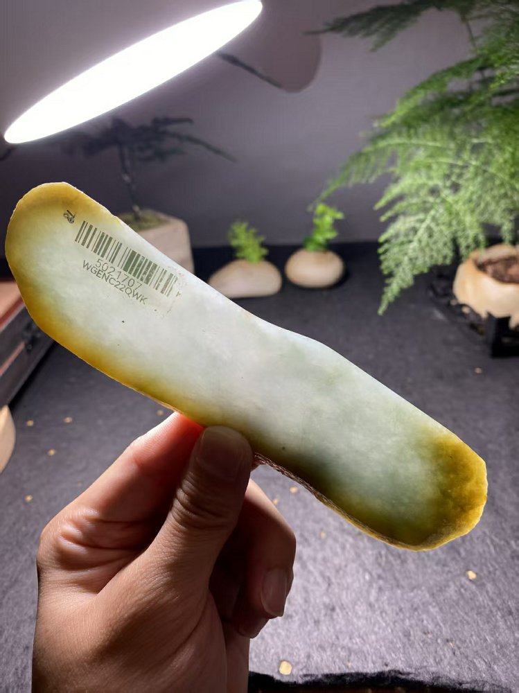 黄翡冰底翡翠料  天然 A 货冰种黄翡带皮原石明料