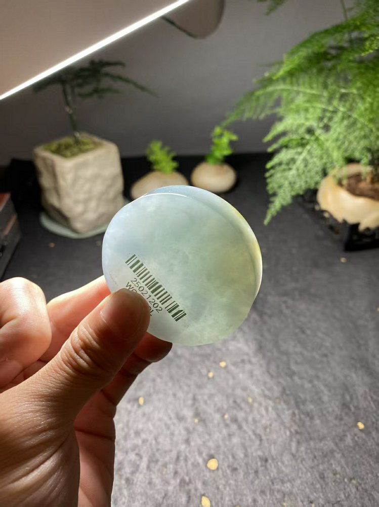 冰种晴水绿飘黄翡翡翠圆牌料 天然 A 货原石明料