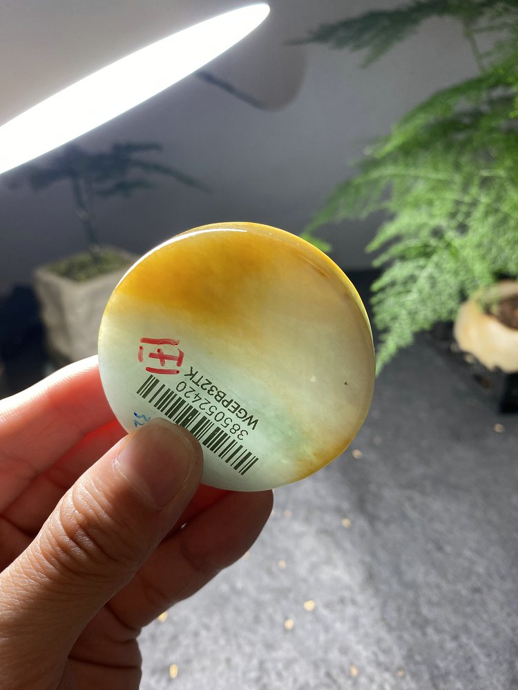 金月圆牌 天然 A 货翡翠黄翡晴水绿圆牌毛料