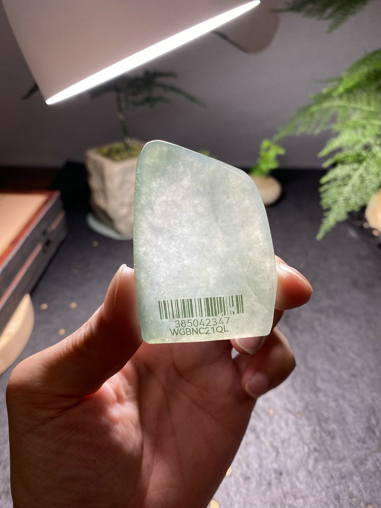 晴翠随形 天然 A 货冰种晴水绿翡翠随形毛料